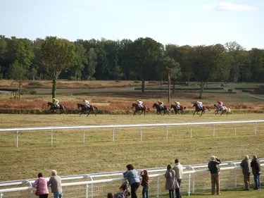 Hippisme : nos préférés pour ce samedi 30 octobre